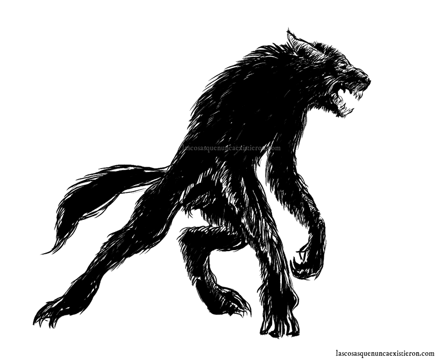 Anatomía de un Hombre Lobo