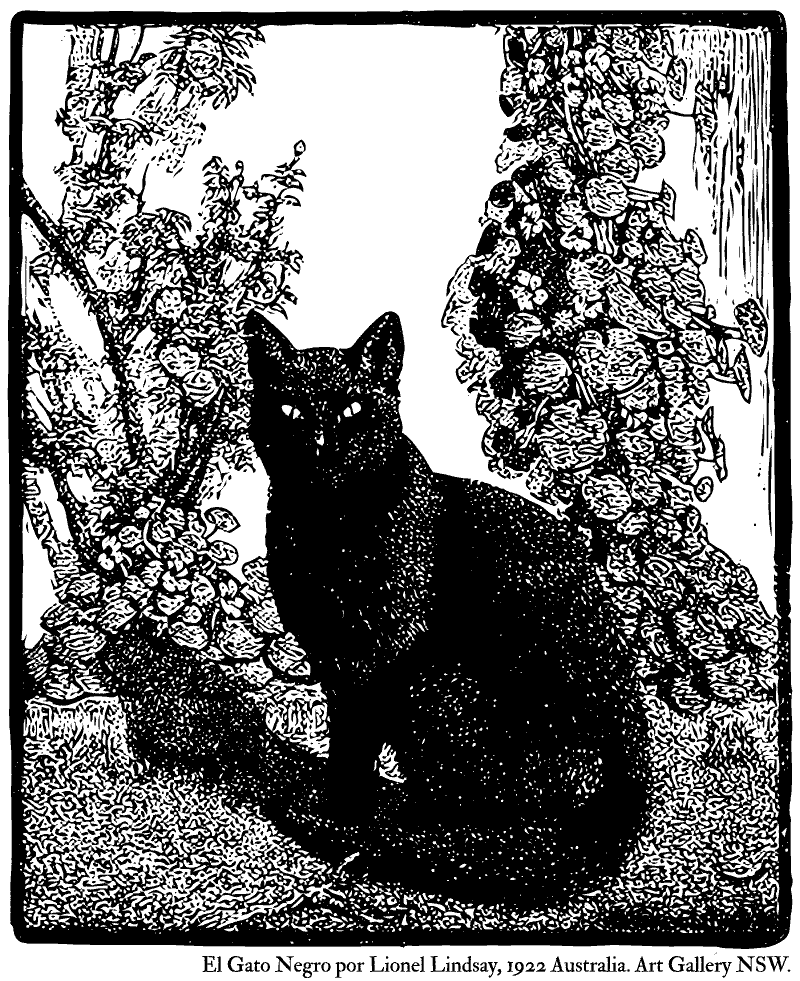 Víctimas de la Superstición