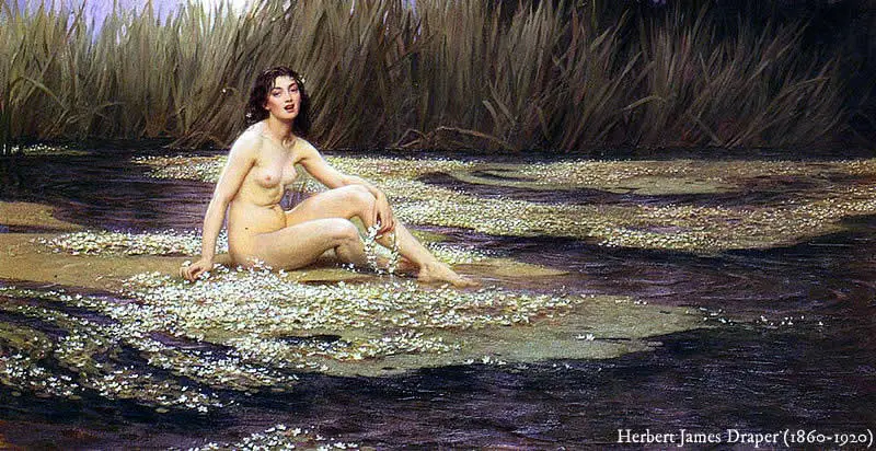 Ninfas