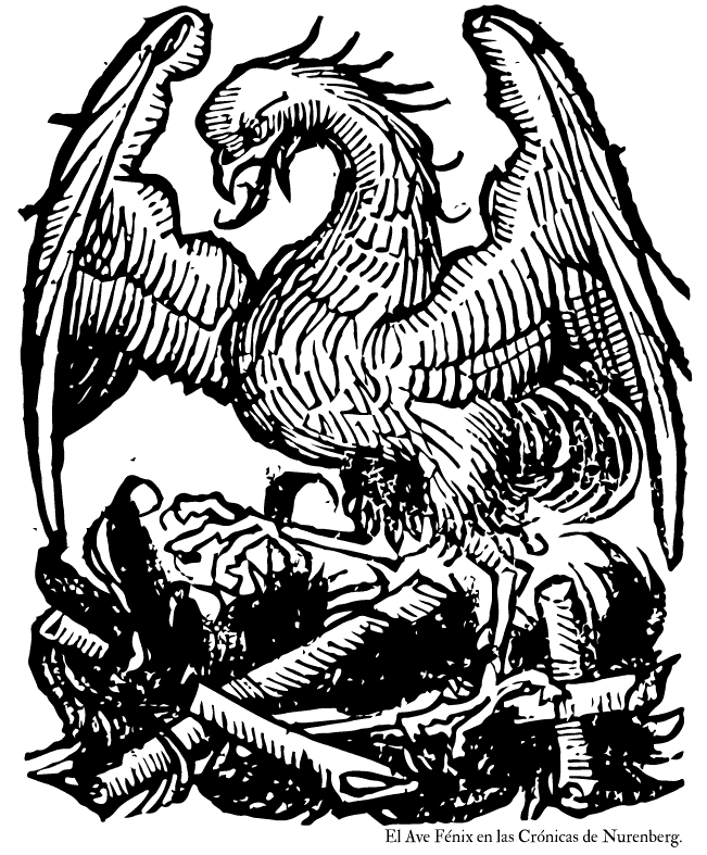 Ave Fénix