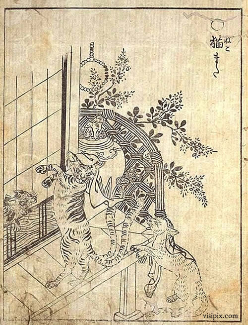 Bakeneko