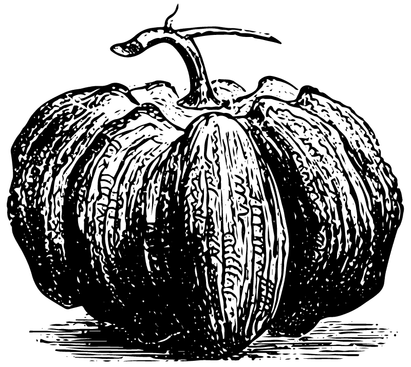 Especial de Halloween y Día de Muertos