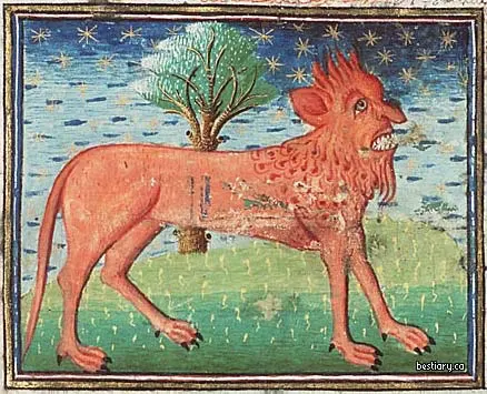 Manticora
