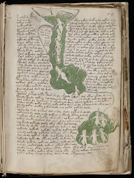 Manuscrito Voynich