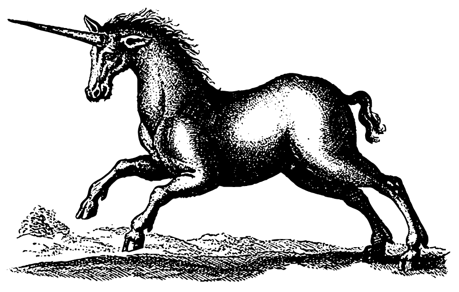 Tipos de Unicornios