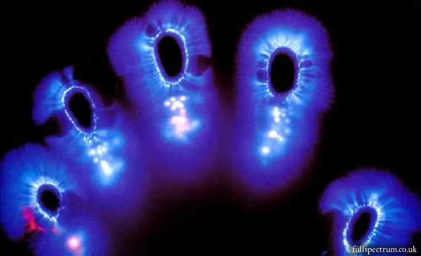 Fotografía de Kirlian