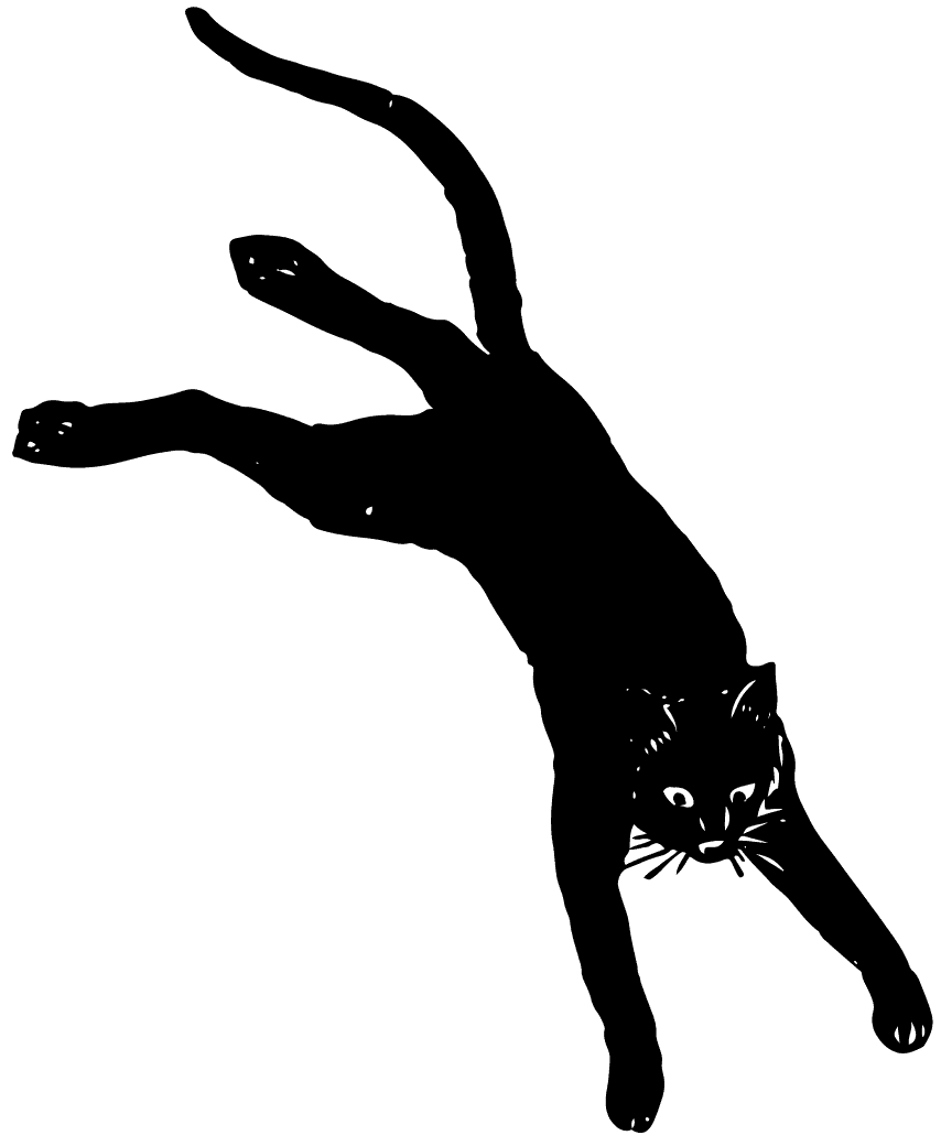 Gato: magia