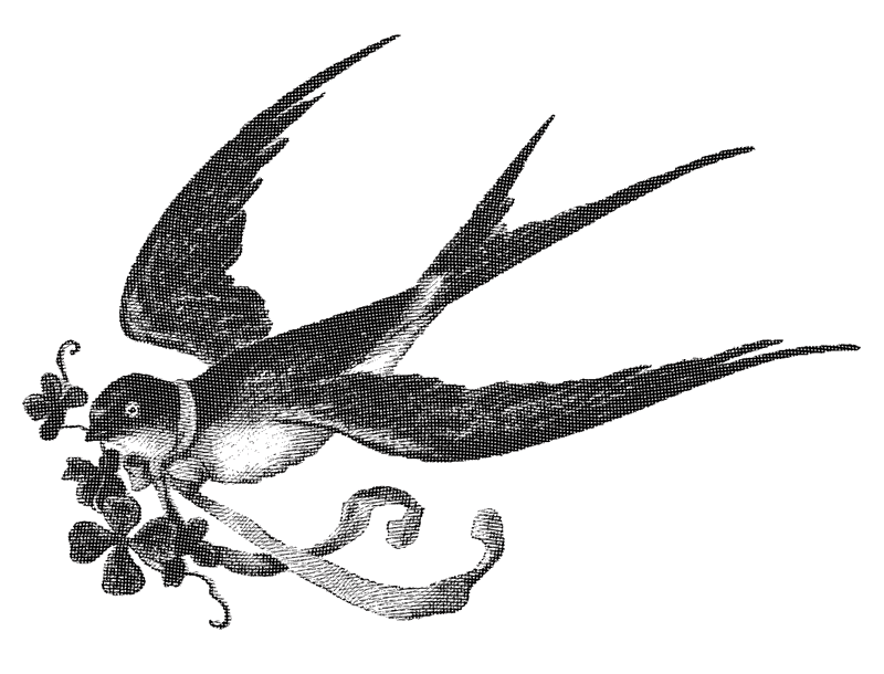 Hechizo de la suerte
