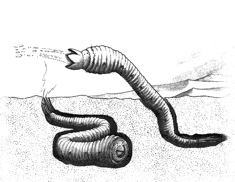 Deathworm, el gusano mongol de la muerte