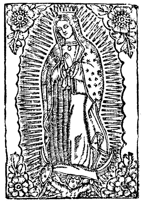 La vida de la virgen de Guadalupe