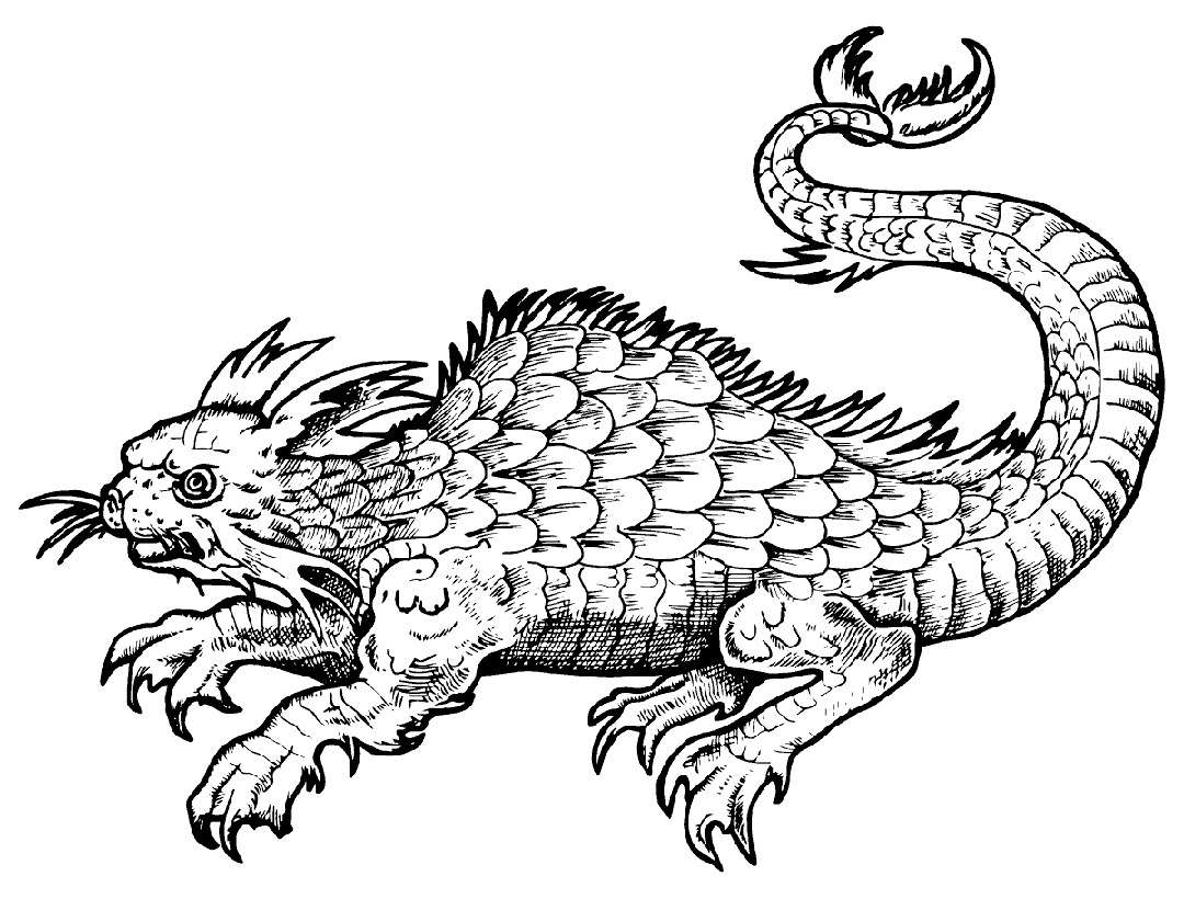 Dragones del mundo