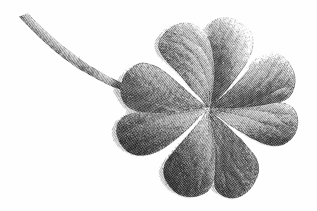 Trébol de cuatro hojas, ¿por qué es considerado de buena suerte?